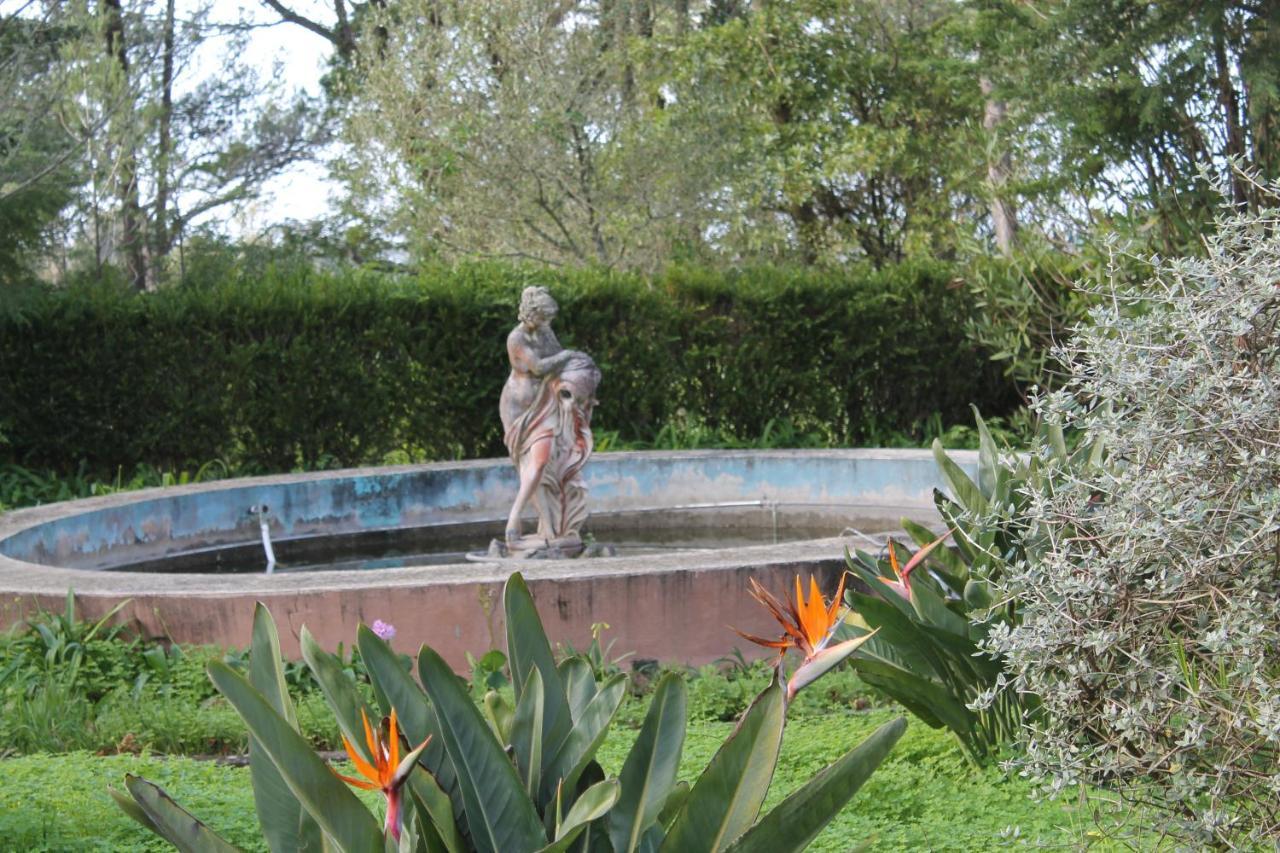 Villa Aedan Σίντρα Εξωτερικό φωτογραφία