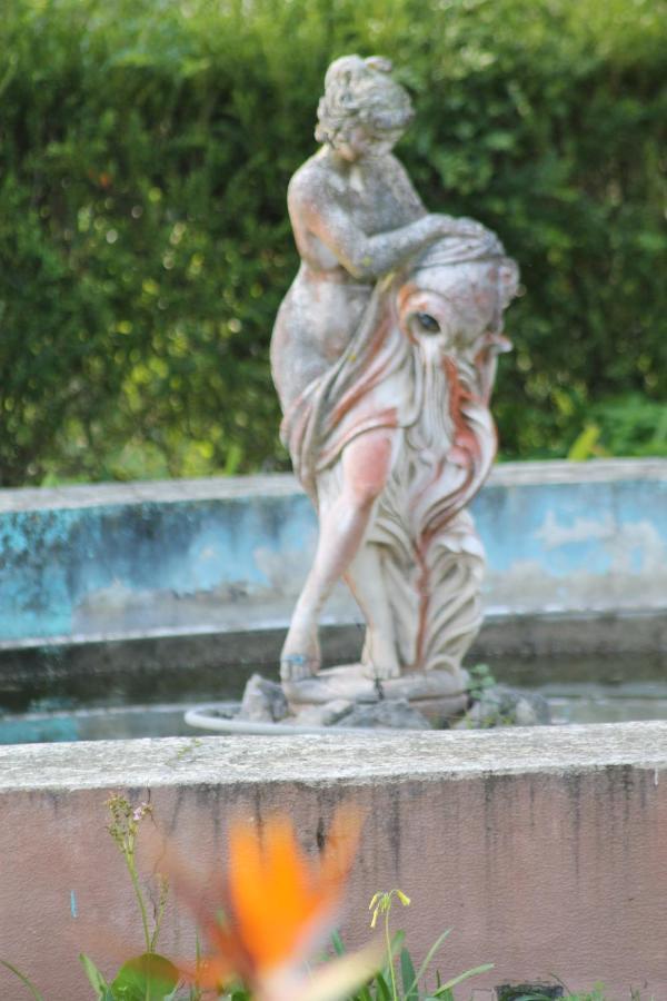 Villa Aedan Σίντρα Εξωτερικό φωτογραφία