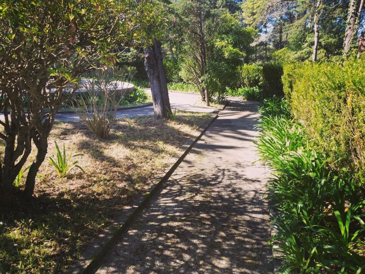 Villa Aedan Σίντρα Εξωτερικό φωτογραφία
